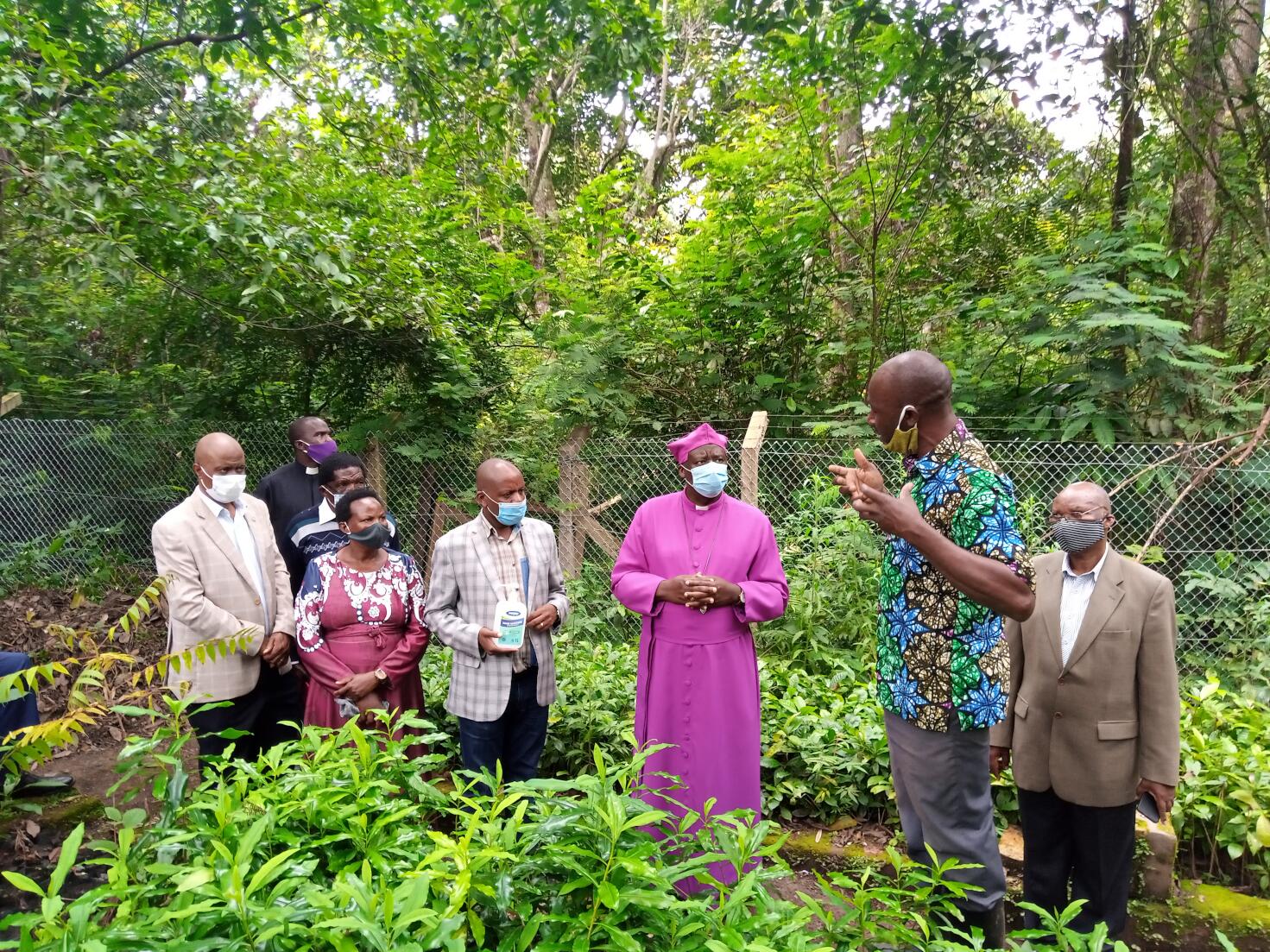 A tour of the tree nursery