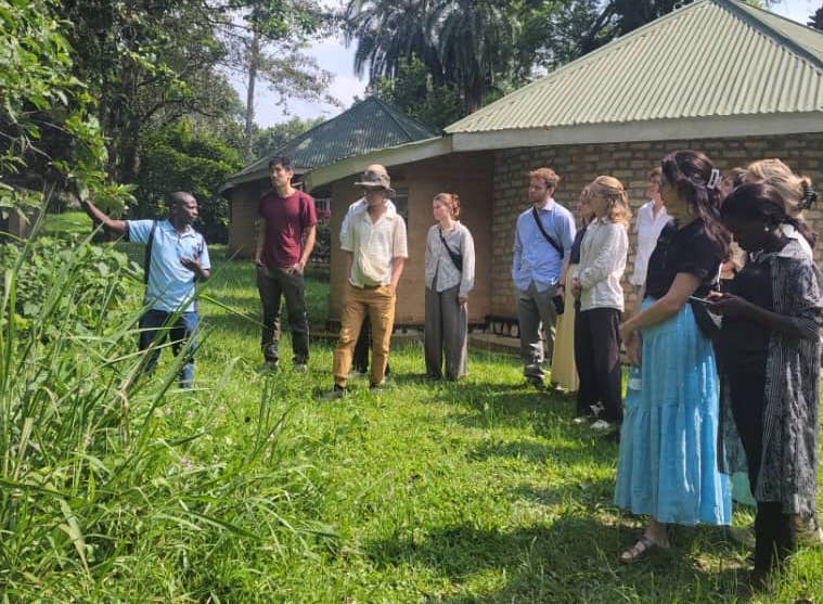 Bridging Worlds: Swedish University Medical Students Explore Herbal Medicine Research at Rukararwe