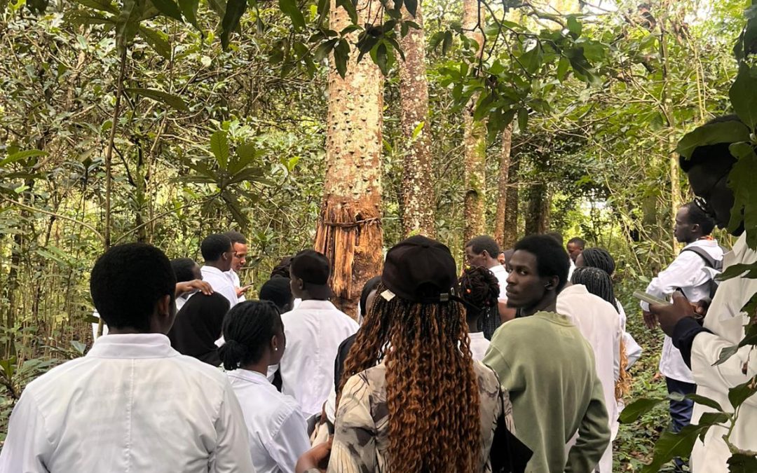 KIU Students Explore Herbal Medicine at Rukararwe
