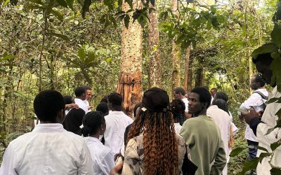 KIU Students Explore Herbal Medicine at Rukararwe