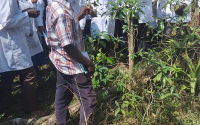 From Classroom to Community: KIU Students Discover the Healing Power of Herbal Medicine at Rukararwe
