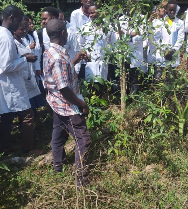 From Classroom to Community: KIU Students Discover the Healing Power of Herbal Medicine at Rukararwe